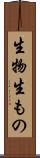生物 Scroll