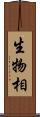生物相 Scroll