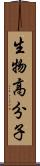 生物高分子 Scroll