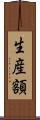 生産額 Scroll
