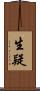 生疑 Scroll