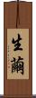 生繭 Scroll