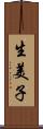 生美子 Scroll