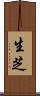 生芝 Scroll