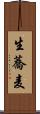 生蕎麦 Scroll