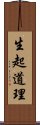 生起道理 Scroll