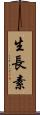 生長素 Scroll