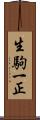生駒一正 Scroll