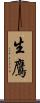 生鷹 Scroll