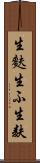 生麩 Scroll
