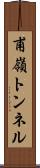 甫嶺トンネル Scroll