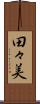 田々美 Scroll
