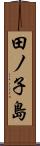 田ノ子島 Scroll