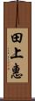 田上惠 Scroll