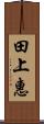 田上惠 Scroll