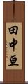 田中亘 Scroll