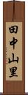 田中山里 Scroll