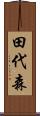 田代森 Scroll