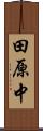 田原中 Scroll