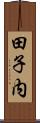 田子内 Scroll