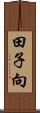 田子向 Scroll