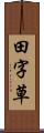 田字草 Scroll