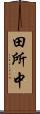 田所中 Scroll