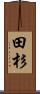 田杉 Scroll