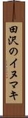 田沢のイヌマキ Scroll