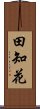 田知花 Scroll