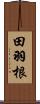 田羽根 Scroll