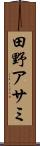 田野アサミ Scroll