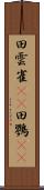 田雲雀(rK) Scroll