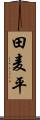 田麦平 Scroll