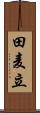 田麦立 Scroll