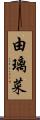 由璃菜 Scroll