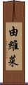 由維菜 Scroll