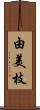 由美枝 Scroll