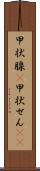 甲状腺(P) Scroll