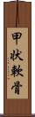 甲状軟骨 Scroll