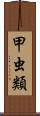 甲虫類 Scroll