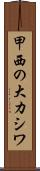 甲西の大カシワ Scroll