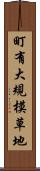 町有大規模草地 Scroll