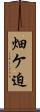 畑ケ迫 Scroll