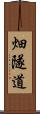 畑隧道 Scroll