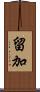 留加 Scroll