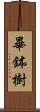 畢鉢樹 Scroll