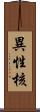異性核 Scroll