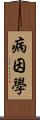 病因學 Scroll