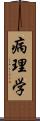 病理学 Scroll